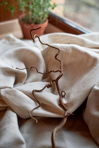 A close-up shot of a crumpled but stylish linen shirt in a neutral tone, with visible texture of the fabric, perhaps draped over a chair on a sunny patio.